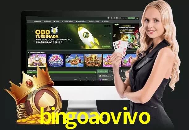 bingo ao vivo login
