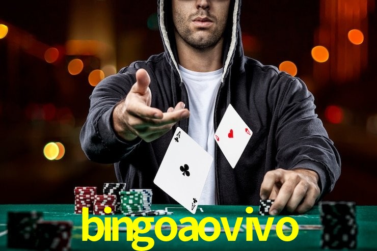 bingoaovivo net